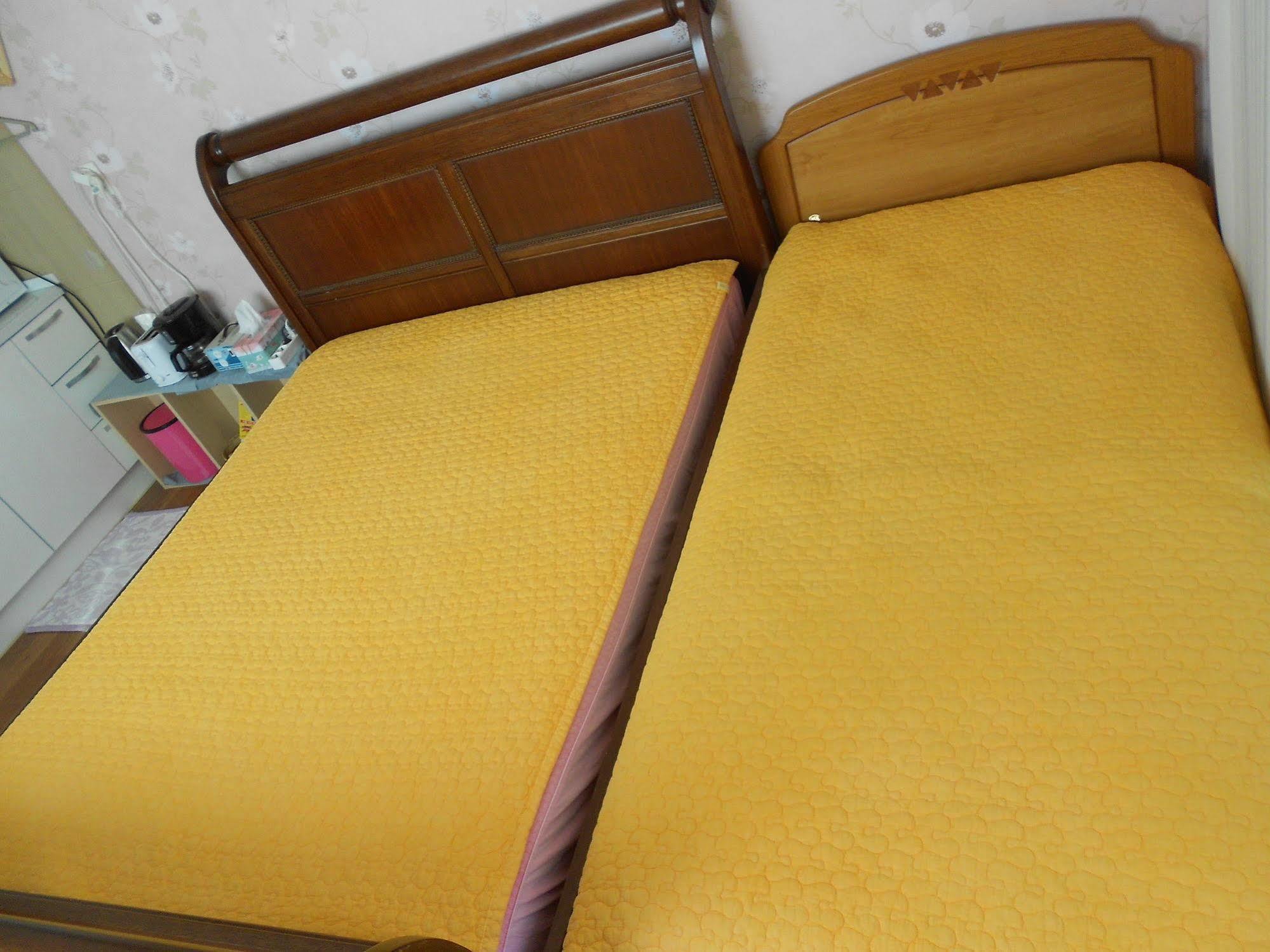 Elvis Bnb انشيون المظهر الخارجي الصورة